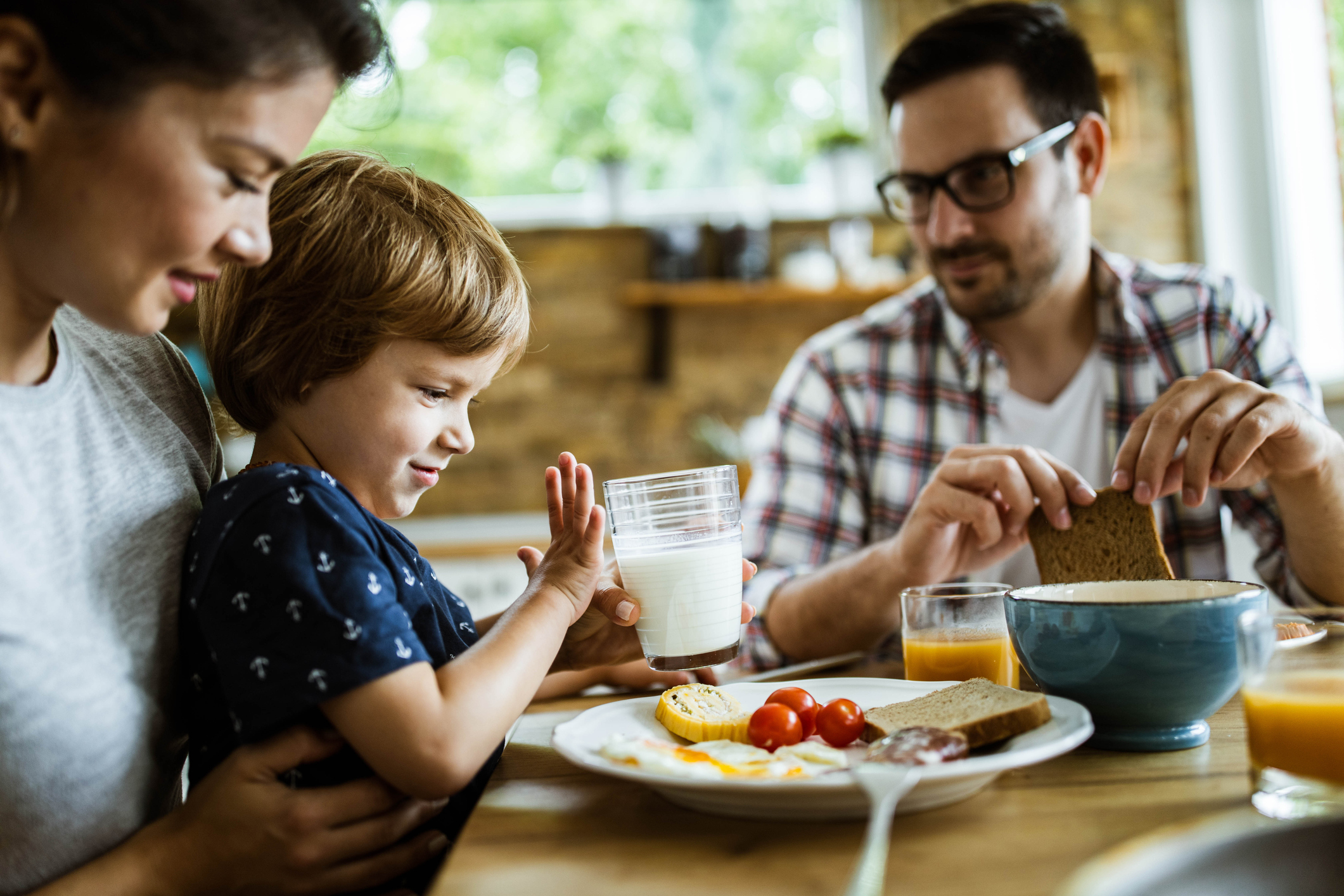 Alergia a las proteínas de la leche