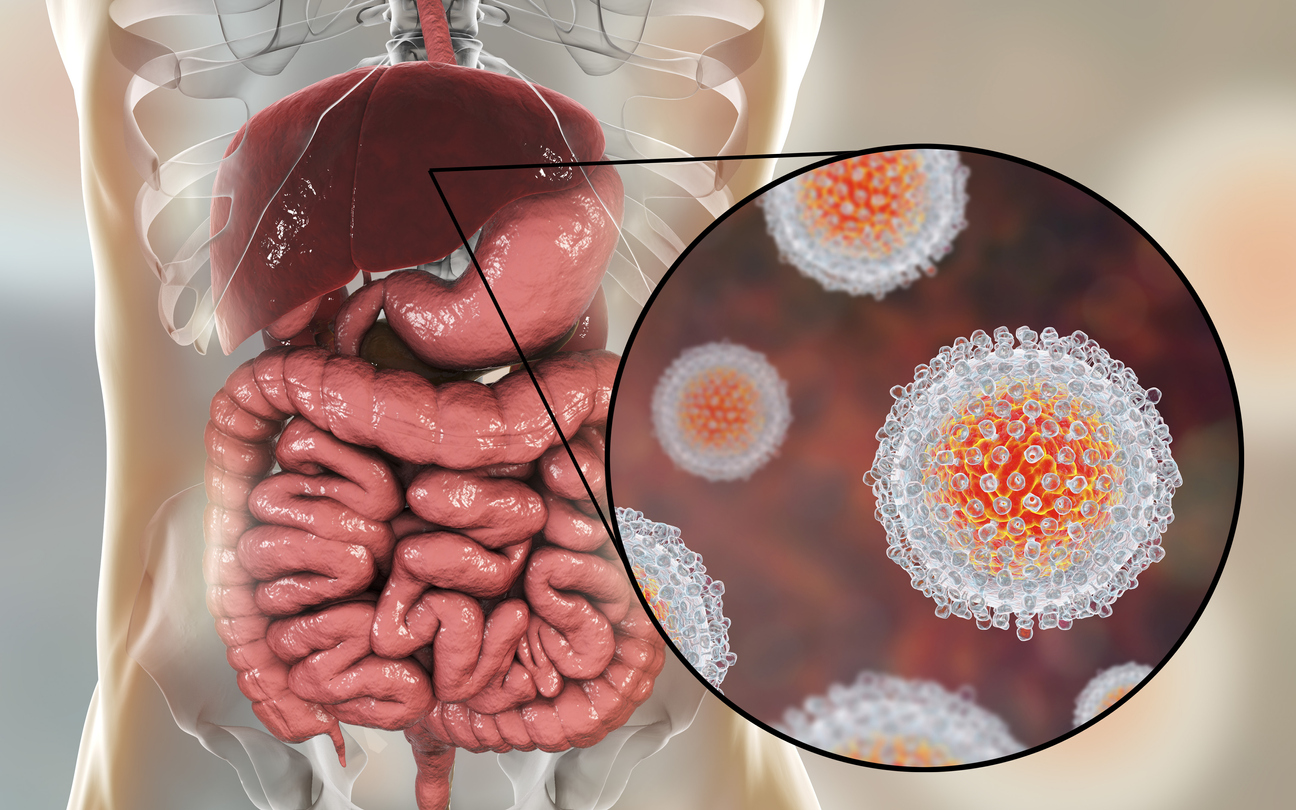 Hepatitis C: factores de riesgo, diagnóstico y prevención