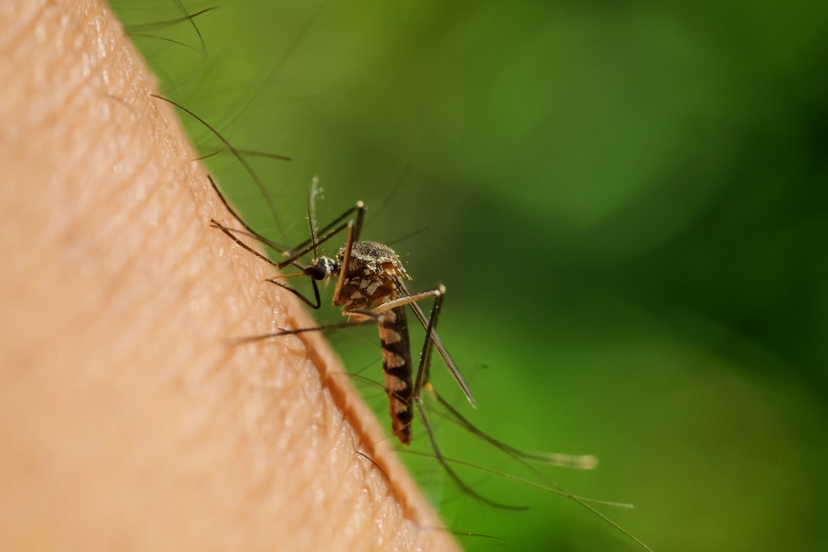 Según el INS en 2023 se notificaron 131.784 casos de dengue. Al corte del 18 de mayo de 2024 ya se han presentado 147.136 casos de contagio en el país