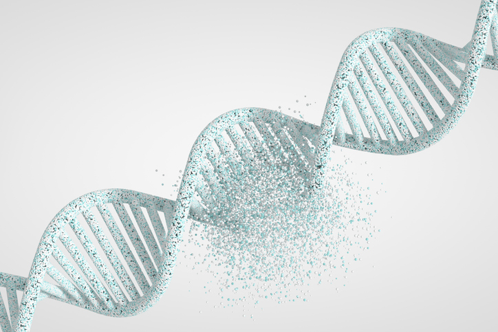 Los investigadores están probando actualmente una posible terapia para la SCA2 en ensayos clínicos.