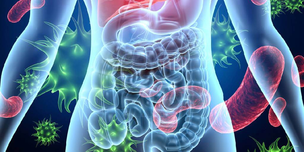 Desequilibrio intestinal, las enfermedades más comunes relacionadas con el problema