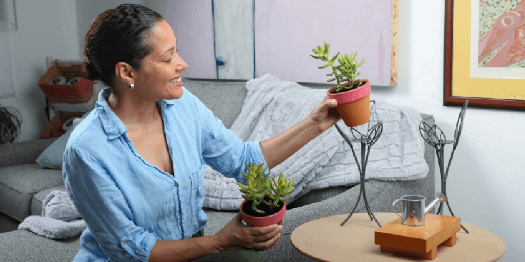 La jardinería como camino al bienestar: ¡Verdura! celebra su primer año