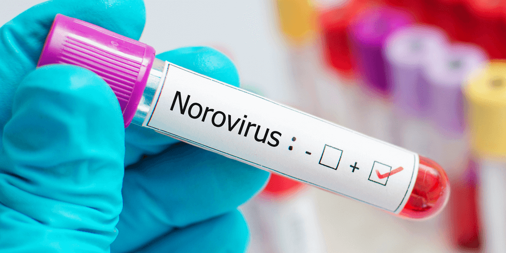 Norovirus