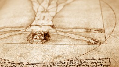 Da Vinci razonó que era el corazón, no el hígado, el órgano responsable del flujo sanguíneo.